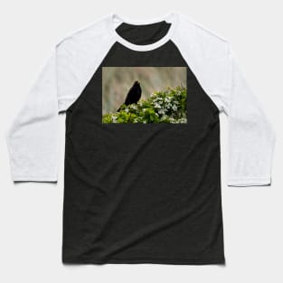 Blackbird on May Blossom Baseball T-Shirt